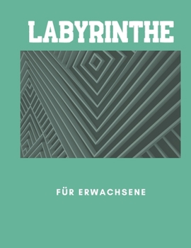 Paperback Labyrinthe für Erwachsene: 100 lustige Rätsel für Erwachsene und Jugendliche Book