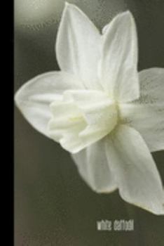 white daffodil: small lined Daffodil Notebook / Travel Journal to write in (6'' x 9'') 120 pages
