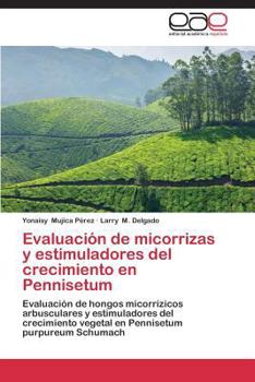 Paperback Evaluación de micorrizas y estimuladores del crecimiento en Pennisetum [Spanish] Book