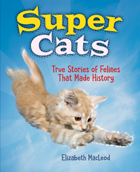 Hardcover Super Cats: True Stories of Felines That Made History Book