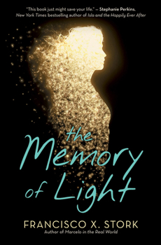 Paperback The Memory of Light Book