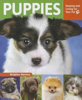 Puppies - Book  of the Keeping and Caring for Your Pet