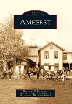 Paperback Amherst Book