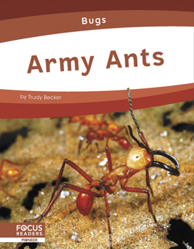 Paperback Army Ants Book