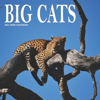 Paperback Big Cats: 2021 Mini Wall Calendar Book