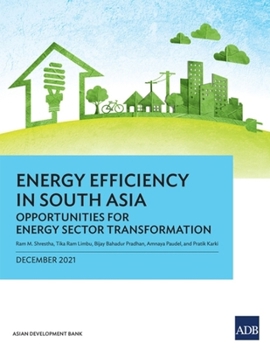 Paperback Energy Efficiency in South Asia: Opportunities for Energy Sector Transformation Book