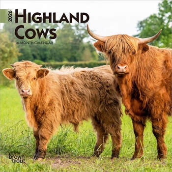 Mini-Disc Highland Cows 2026 7 X 14 Inch (Hanging) Monthly Mini Wall Calendar Book