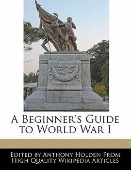 Paperback A Beginner's Guide to World War I Book