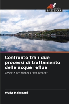 Paperback Confronto tra i due processi di trattamento delle acque reflue [Italian] Book