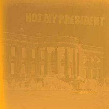 Paperback Not My President Book
