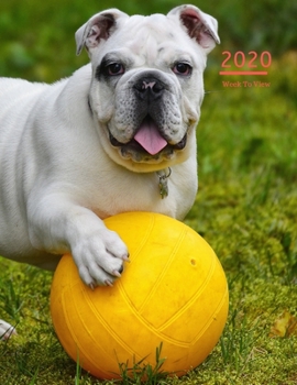 2020 A4 Diary Week To View Planner For All Occasions: | Year Planner For Business, Office, Home, University, College, School, Appointments, Organizer.