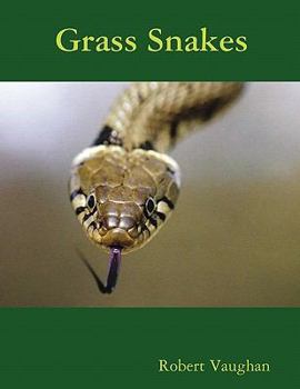 Paperback Grass Snakes Book