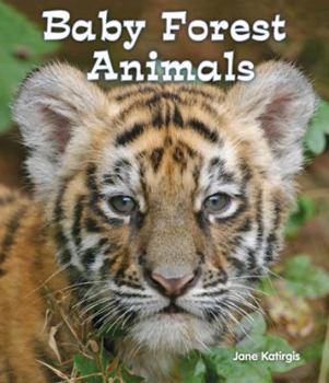 Paperback Baby Forest Animals Book