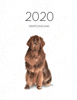 2020 Newfoundland: Dated Weekly Planner With To Do Notes & Dog Quotes - Newfoundland (Awesome Calendar Planners for Dog Owners)