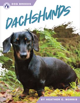 Paperback Dachshunds Book