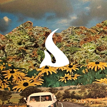 Paperback Stash - Volume 2 Book