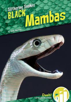 Black Mambas - Book  of the Slithering Snakes