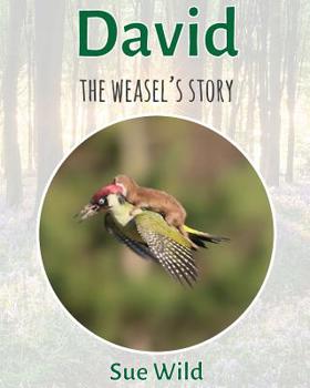 Paperback David: The weasel's story Book