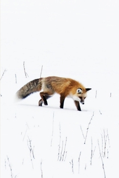Journal: Snow Fox