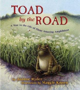 Hardcover Toad by the Road: A Year in the Life of These Amazing Amphibians Book