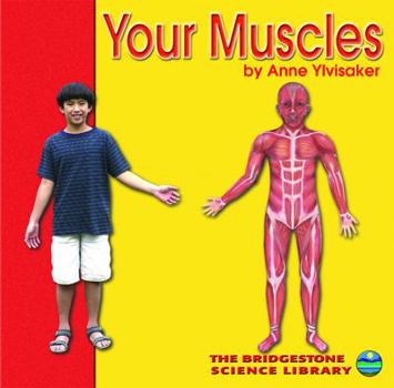 Hardcover Your Muscles Book