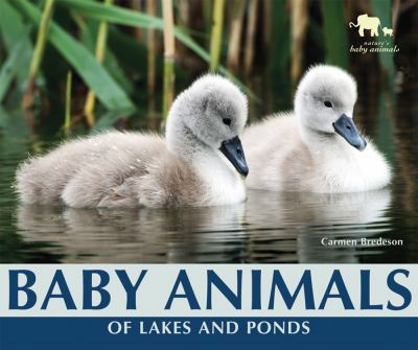 Baby Animals of Lakes and Ponds - Book  of the Nature's Baby Animals