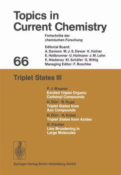 Paperback Triplet States III Book