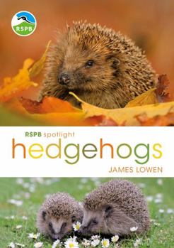 Paperback Rspb Spotlight Hedgehogs Book