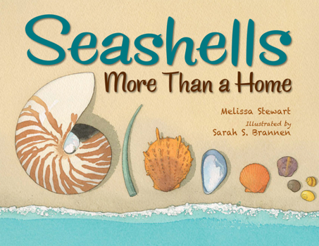 Paperback Seashells: More Than a Home Book