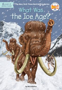 Paperback What Was the Ice Age? Book