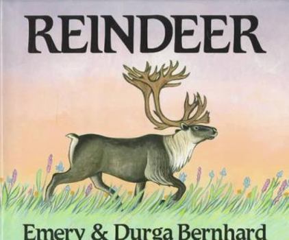 Hardcover Reindeer Book