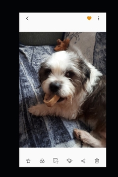 Paperback What Would Rocket Do? Vol. 4, Halloween Book