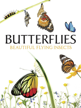 Hardcover Butterflies: Beautiful Flying Insects Book