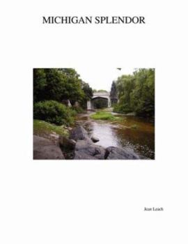 Paperback Michigan Splendor Book
