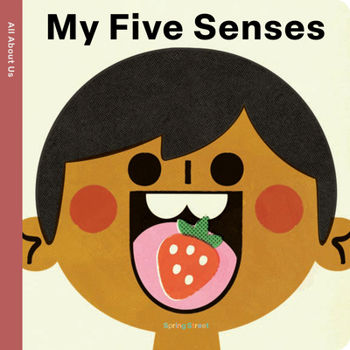 Board book Spring Street All about Us: My Five Senses Book