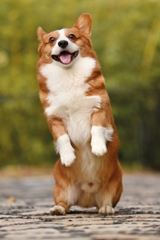 Cute Corgi Notebook: Sweet Notebook, Diary and Journal with 120 Lined Pages with corgi