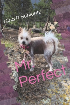 Paperback Mr. Perfect Book
