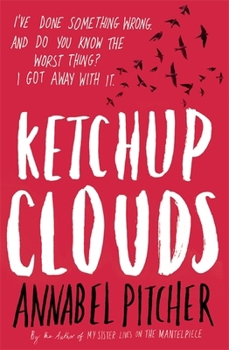Paperback Ketchup Clouds Book