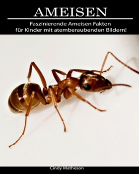 Paperback Ameisen: Faszinierende Ameisen Fakten f?r Kinder mit atemberaubenden Bildern! [German] Book