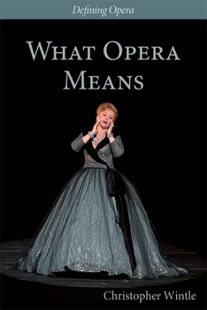 Paperback What Opera Means: Categories and Case-Studies Book