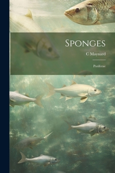 Paperback Sponges; Poriferae Book