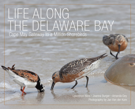 Hardcover Life Along the Delaware Bay: Cape May, Gateway to a Million Shorebirds Book