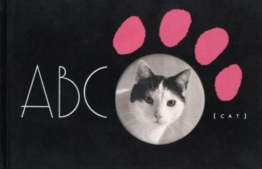 Hardcover ABC Cat Book