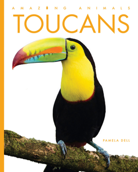 Toucans (Amazing Animals)