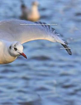 Paperback Seagull Gull Seabird Flight Flying Wing Plumage Notebook Book