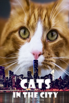 Paperback Cats in the City Book