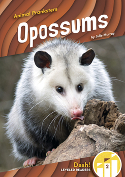 Paperback Opossums Book