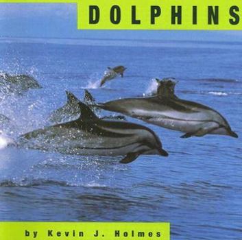 Paperback Dolphins Book
