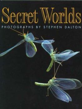 Hardcover Secret Worlds Book