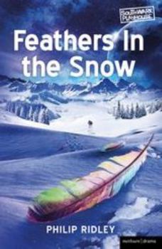 Paperback Feathers in the Snow Book